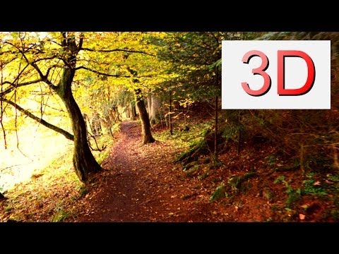 Youtube: Ultra HD 3D Film: SEPTEMBER FOREST WALK (4K Resolution)