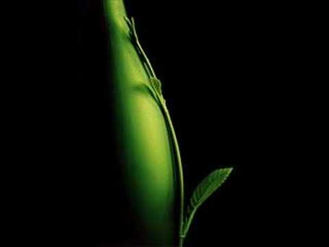 Youtube: Book of Love-Peter Gabriel