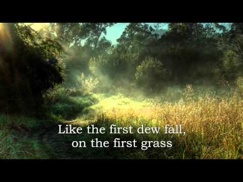 Youtube: Ann Williamson-Morning has broken (lyrics)