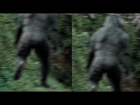 Youtube: Georgia Bigfoot