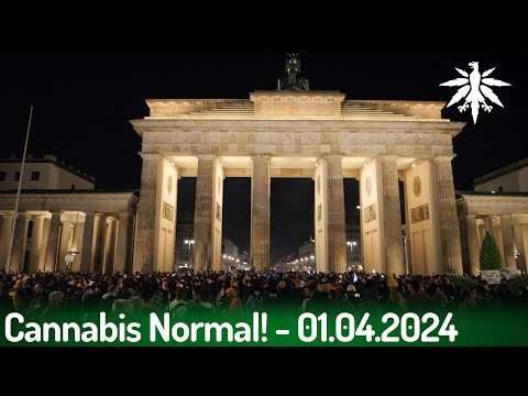 Youtube: Cannabis Normal! - Ankiffen am Brandenburger Tor 01.04.2024