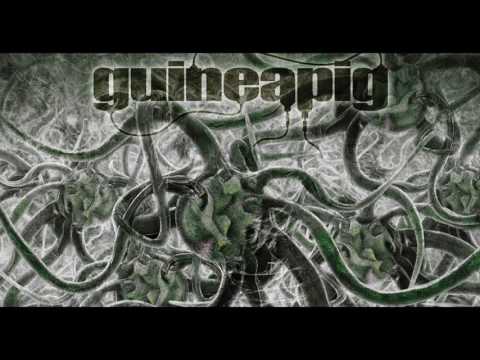 Youtube: Guineapig - Bacteria (2014)  [Full Album]