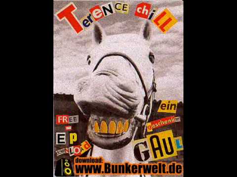 Youtube: Terence Chill - keine Zukunft