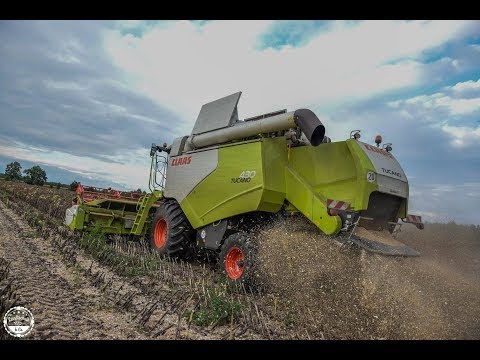 Youtube: Sonnenblumen dreschen // Claas Tucano 430 , Case CVX 150