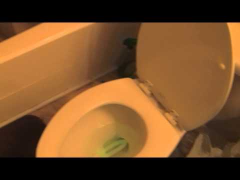 Youtube: UFO sighting 2013-An Alien Poops in my Bathroom (WTFisTHAT!!!)