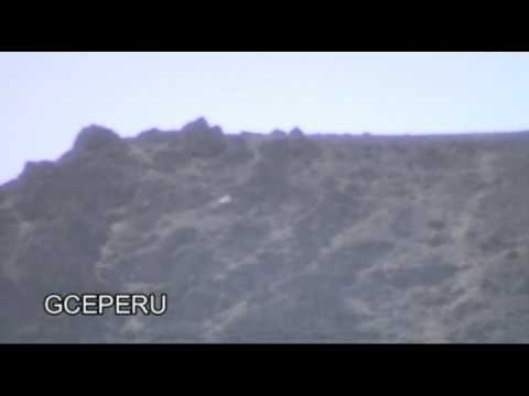 Youtube: UFO VARIABLE FRIEND IN PERU - UFO AMIGO VARIABLE- ANALYZE PLEASE- GLADYS CORDOVA