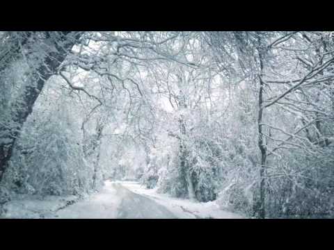 Youtube: Blizzard Sounds for Sleep, Relaxation & Staying Cool | Snowstorm Sounds & Howling Wind in the Forest