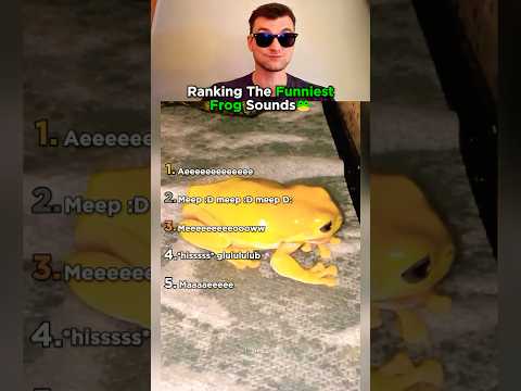 Youtube: Die 5 besten Froschgeräusche, die uns zum Lachen gebracht haben!