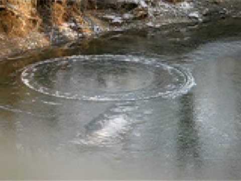 Youtube: Rattray Marsh "Creek Circle"