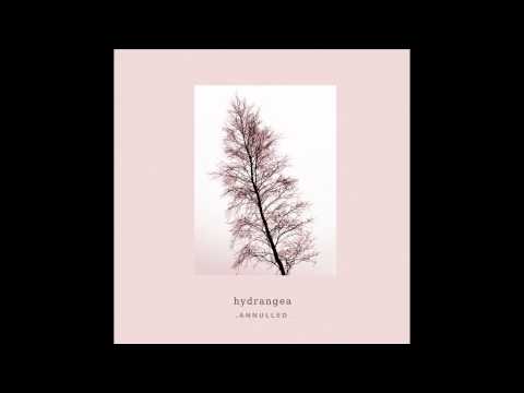 Youtube: Hydrangea - Arborescens (Original Mix)