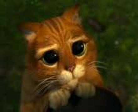 Youtube: SHREK CUTE CAT