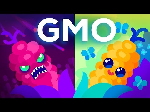 Youtube: Are GMOs Good or Bad? Genetic Engineering & Our Food