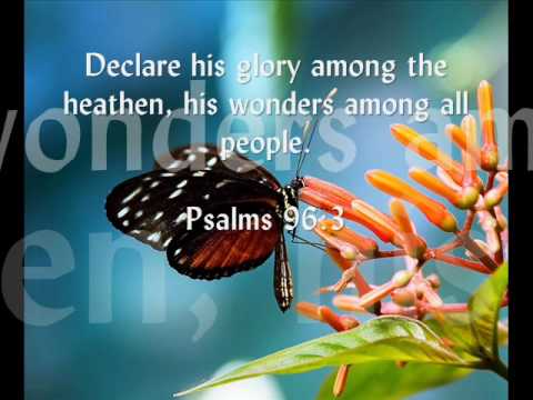 Youtube: The Wonder Of God Written On Butterfly Wings