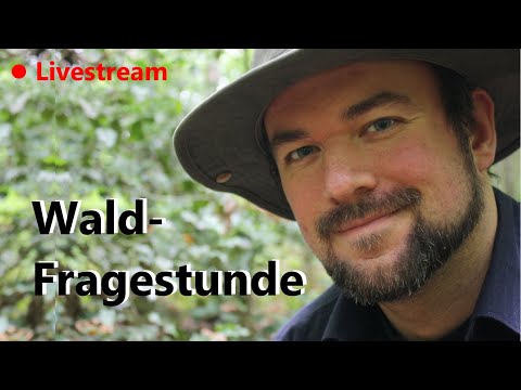 Youtube: Live-Waldfragestunde (Januar 2022)