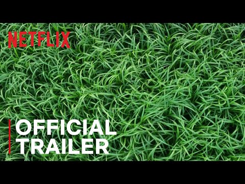 Youtube: In the Tall Grass | Official Trailer | Netflix