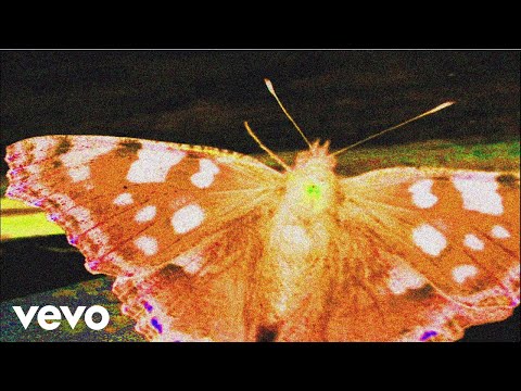 Youtube: Frank Carter & The Rattlesnakes - Why A Butterfly Can't Love A Spider