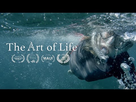 Youtube: The Art of Life