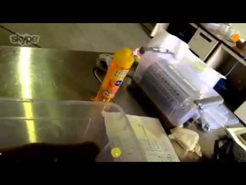 Youtube: 2014.03.29 - Experiment in food quality assurance company in Fukushima region - 1