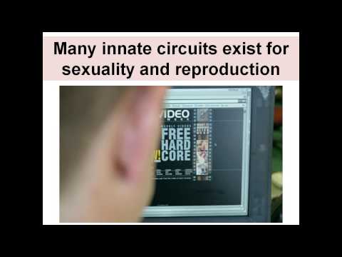Youtube: Your Brain on Porn: How Internet porn affects the brain