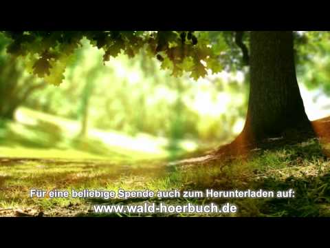 Youtube: Wenn der Wald spricht - 4. Kapitel - Dankbarkeit