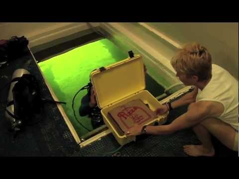 Youtube: Jules' Undersea Lodge