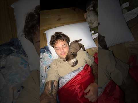Youtube: Ich habe die Nacht im Gehege meiner kleinen Otterdame Lola verbracht 😅