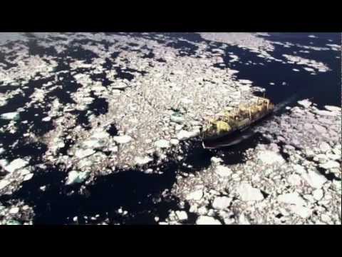 Youtube: Whale Wars - Nisshin Maru in Gefahr