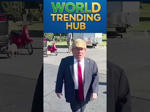 Youtube: Mini Trump Founded in USA #minitrump #trump #usa #shorts