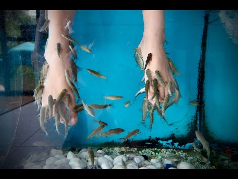 Youtube: Ellen's Fish Spa Pedicures Mallorca, Spain