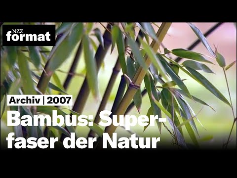 Youtube: Bambus: Superfaser der Natur - Dokumentation von NZZ Format (2007)