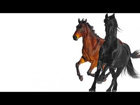 Youtube: Lil Nas X - Old Town Road (feat. Billy Ray Cyrus) [Remix]