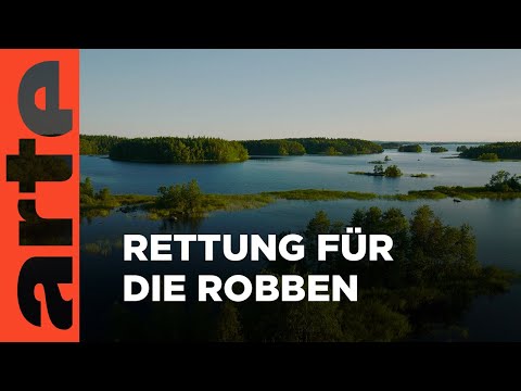 Youtube: Finnland - Der Saimaa | Stille Wasser Reupload | ARTE Family