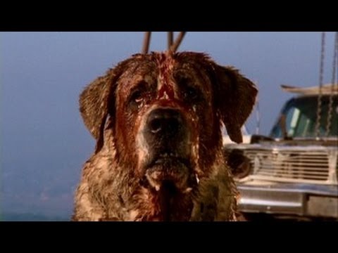 Youtube: Cujo Trailer 1983