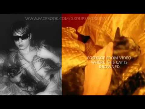 Youtube: Luka Magnotta - Serial Kitten Killer - Reward Offered