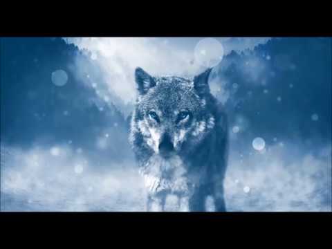 Youtube: Ahuu - das NABU - Wolfslied