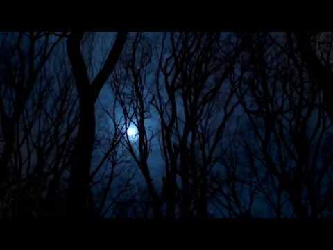 Youtube: LUSTRE - The Ardour of Autumn (Pt. 2) Atmospheric Black Metal
