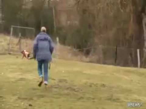 Youtube: Ostrich Attacks Kid Video
