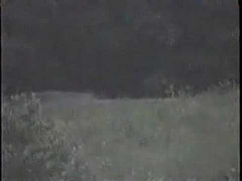 Youtube: Ghost soldiers captured on cam?