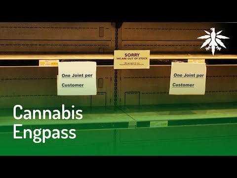 Youtube: Versorgungsengpässe bei medizinischem Cannabis | DHV News #130