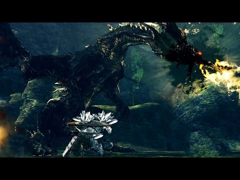 Youtube: Dark Souls: Black Dragon Kalameet Boss Fight (4K 60fps)