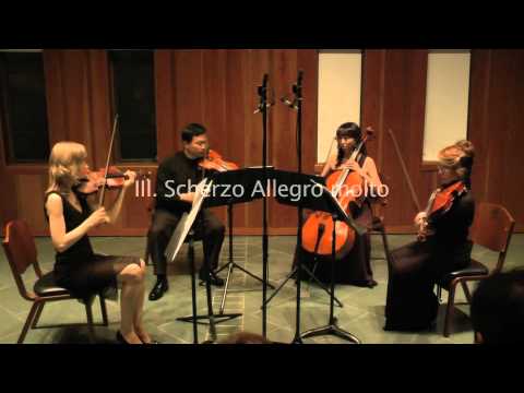 Youtube: Schubert: String Quartet No. 14 "Death and The Maiden"