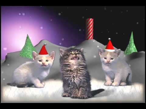 Youtube: Jingle Cats - Silent night 10 HOURS