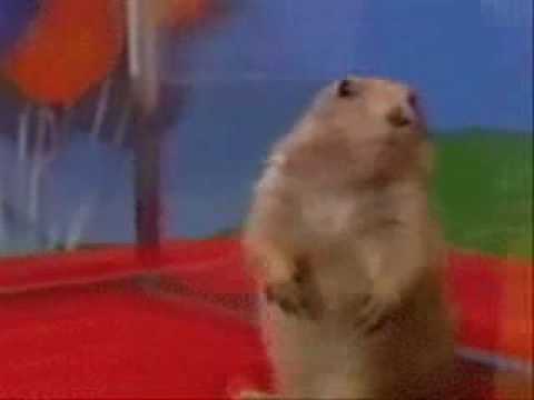 Youtube: Dramatic Gopher