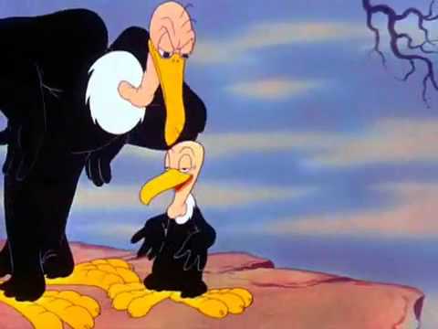 Youtube: Looney Tunes- no no nope beaky buzzard