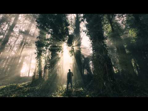 Youtube: Kassander - Natural Gates