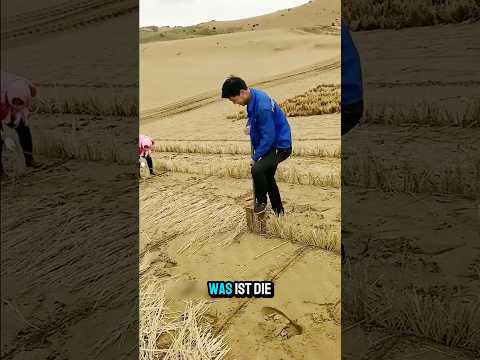 Youtube: So wird wüste zu Farmland