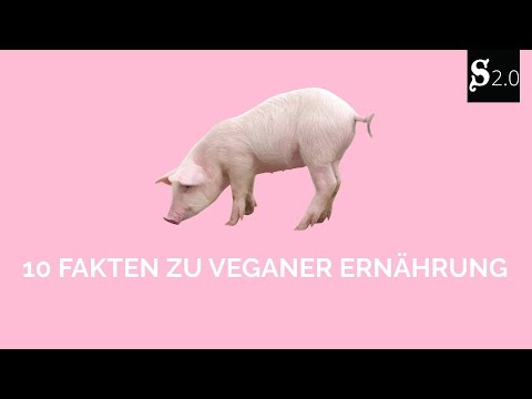 Youtube: 10 Fakten zu Veganer Ernährung