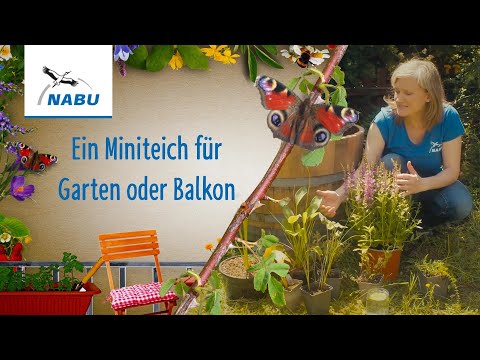 Youtube: So legt ihr einen Miniteich für Garten oder Balkon an