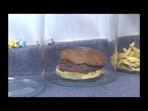 Youtube: The Decomposition Of McDonald's Burgers And Fries.