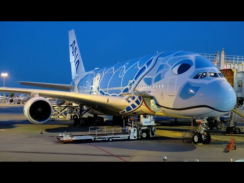Youtube: [Flight Report] ANA | Tokyo ✈ Honolulu | Airbus A380 | Business